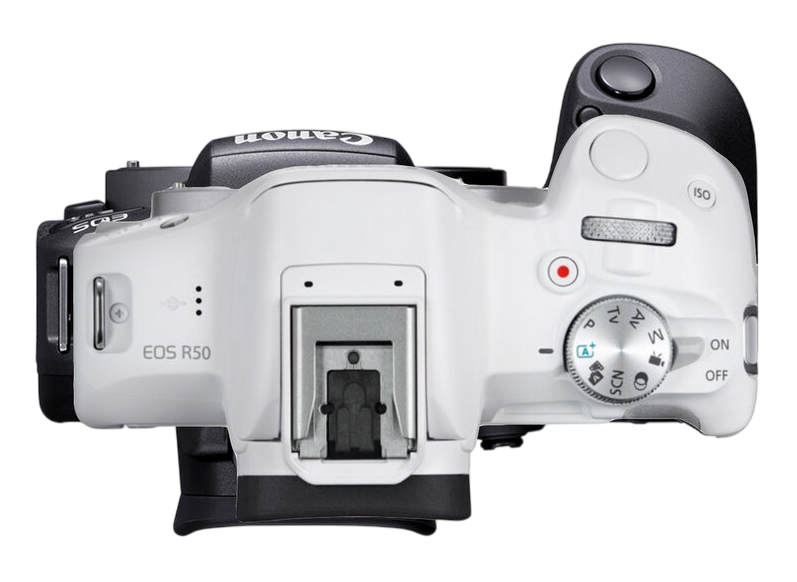Canon